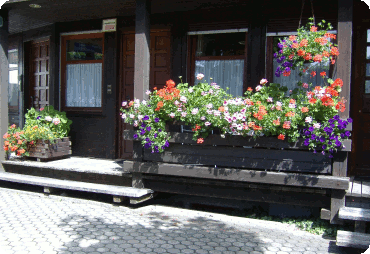 Foto der Ferienwohnung